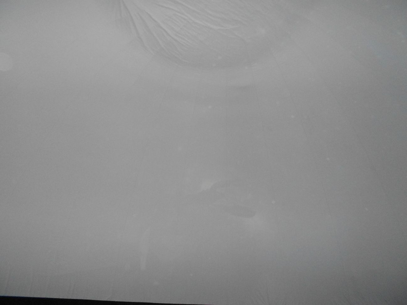 DSCN7743