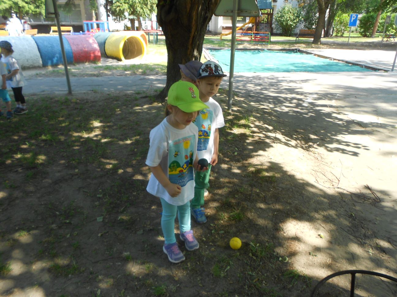 DSCN8626